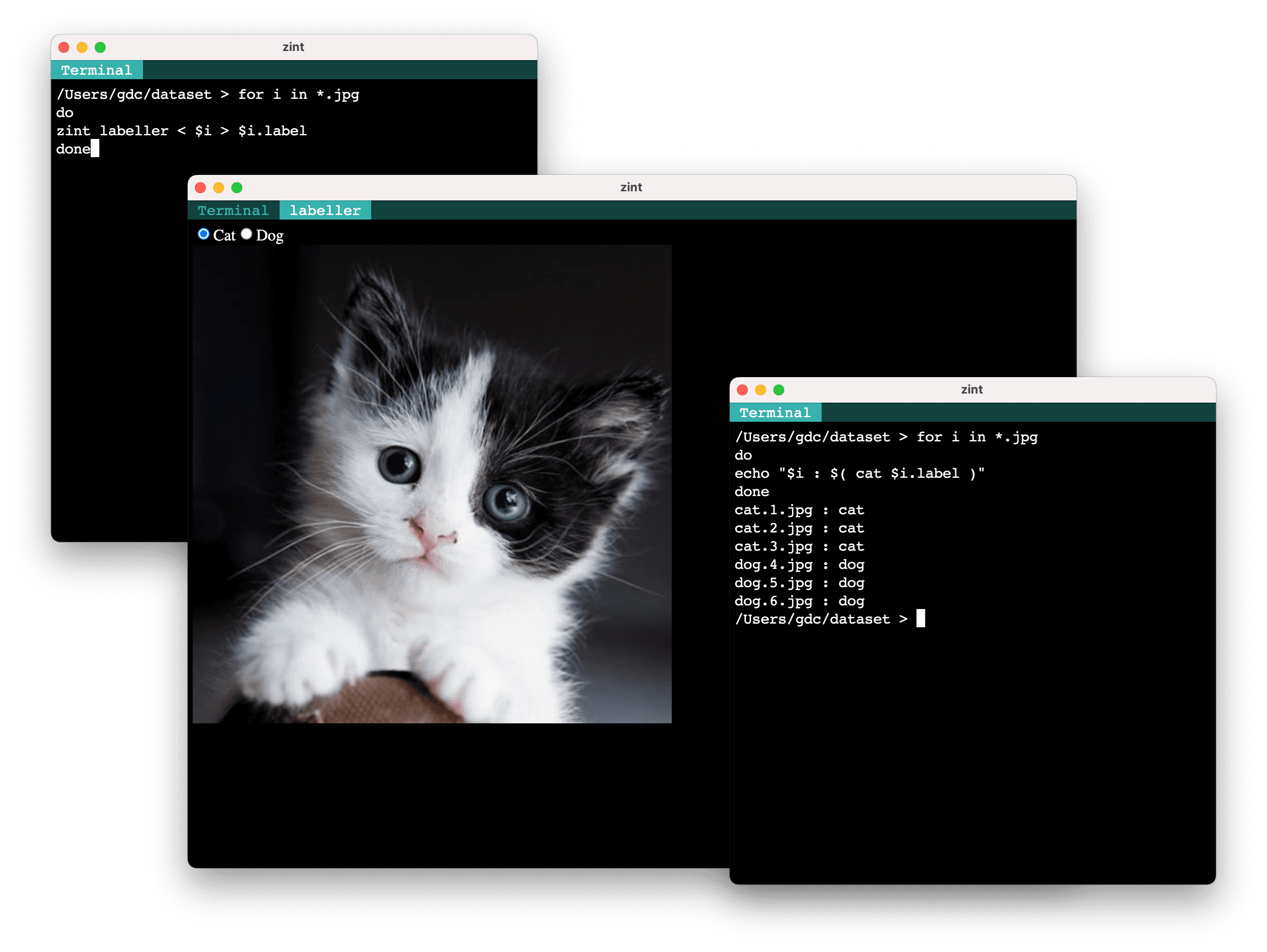 label a lot of files with a simple for loop