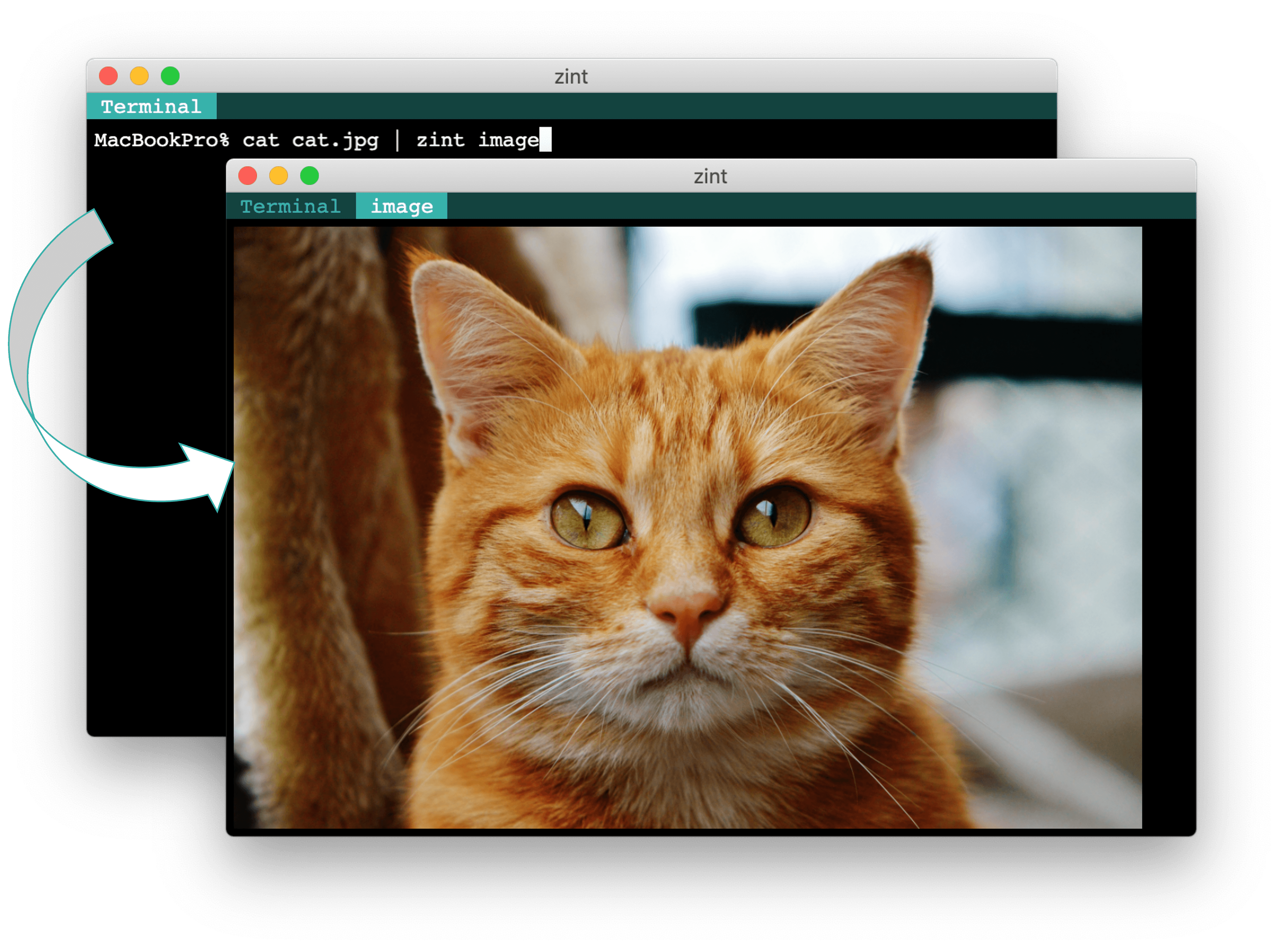 Zint screenshot: a terminal with graphical components